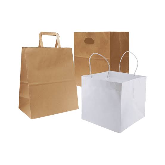Premium Paper Carry Bags