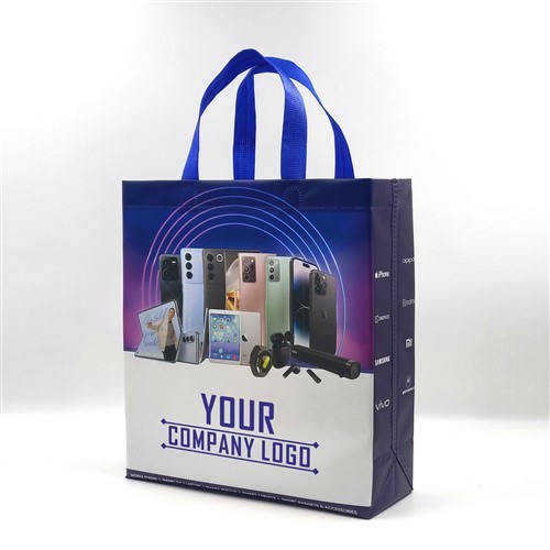 Laminated Box Bag – 0.25 kg Capacity