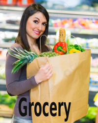 Grocery Non Woven Bags – Blue Color