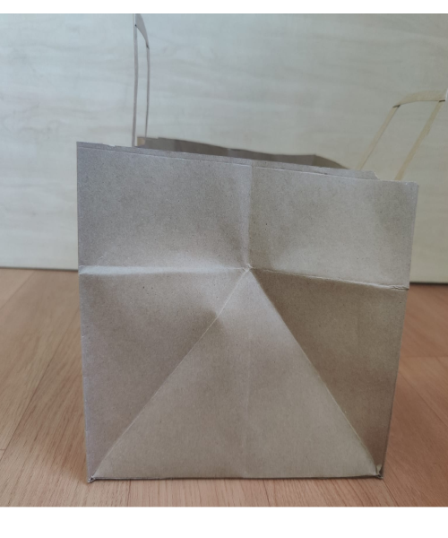 Premium Paper Carry Bags for retail